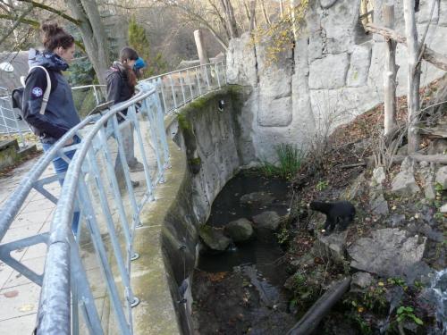 Zoo Jihlava Holky a medvěd