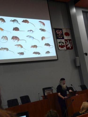 Přednášky Dan a krásné myši